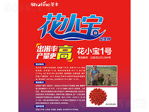 ��С��1̖(h��o)-�����N��-ʥ�S�N�I(y��)