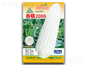 ��Ŵ2000-Ŵ���׷N��-ȫ�d�N�I(y��)