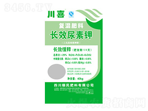 �LЧ�����24-0-5-������