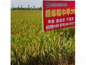 ����35-ˮ���N��-�зN���F