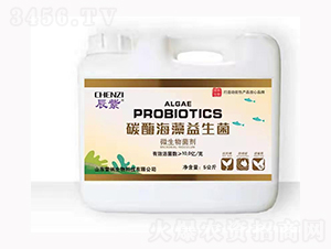 ̼ø����������-�׼{����