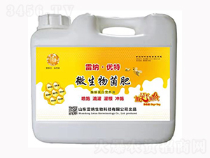 ΢�������-�׼{��(y��u)��-�׼{����