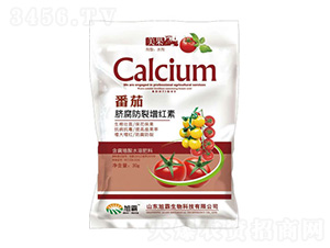 ����Ě���������t��-�������