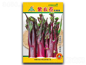 ����̦-��̦�N��-ȫ�d�N�I(y��)