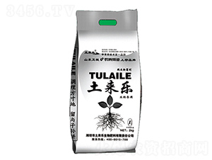 ������-���혷