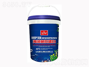 �����~�ĵ���-�S���`-��������