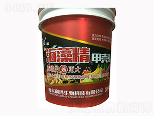 ���徫�ך���-�S���`-��������