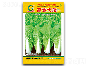 �ߵǿ��-��˷N��-ȫ�d�N�I(y��)