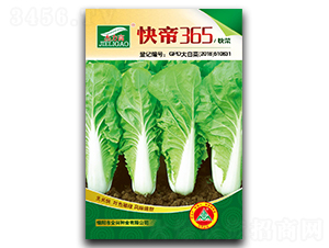 ���365-��˷N��-ȫ�d�N�I(y��)