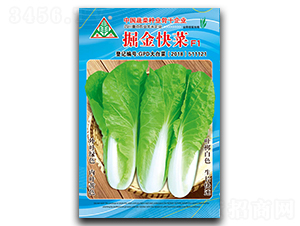 �����-��˷N��-ȫ�d�N�I(y��)