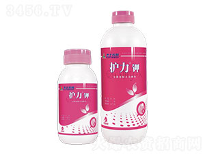 �o���-��ʿ�r(n��ng)�I(y��)