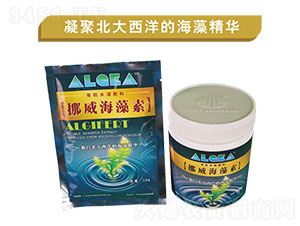 Ų��������-��ʿ�r(n��ng)�I(y��)