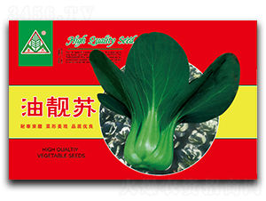 ���n�K-�๣�˷N��-ȫ�d�N�I(y��)