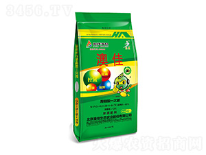 ��ֲ��һ�η�26-5-9+TE-�ļ����B(t��i)