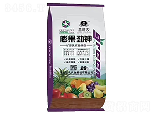 ������-�����r(n��ng)-���r(n��ng)