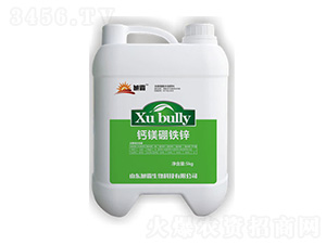 �}�V���F�\-�������