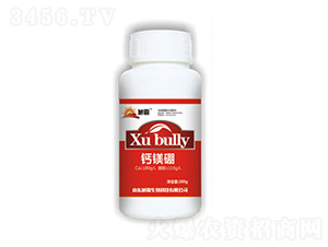 �}�V��ƿ��-�������