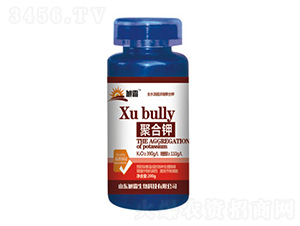 �ۺ��-�������