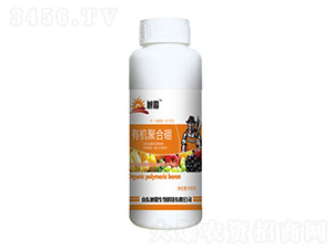 �ЙC�ۺ���-�������