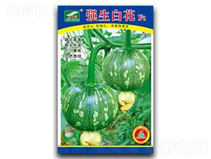 �����׻�-С��ϷN��-ȫ�d�N�I(y��)