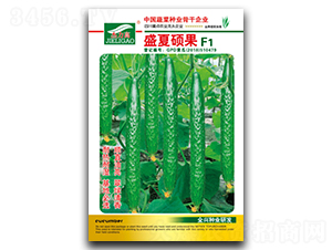 ʢ�ĴT��-�S�ϷN��-ȫ�d�N�I(y��)