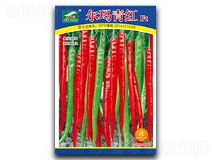 ������t-�����N��-ȫ�d�N�I(y��)