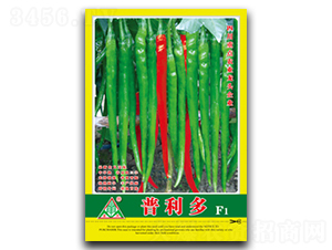 ������-�����N��-ȫ�d�N�I(y��)