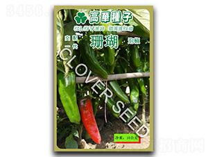 ɺ��-�ݽ��N��-���ڷN��