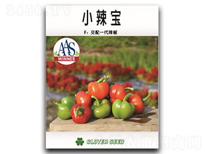 С����-�����N��-���ڷN��