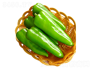 ���A-�𽷷N��-���ڷN��