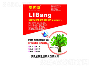 ���\�F�}�V�ʣ����ϑB(t��i)��-�ۃ�(y��u)΢-��������