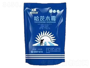 ����ľù΢�������-�ذ�����