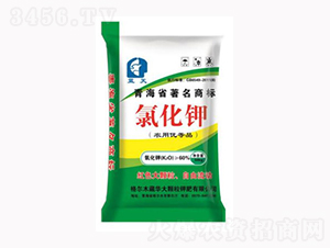 �{���Ȼ��-�A��