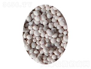 ���ȩ�ͺϷ�17-17-17-�A��