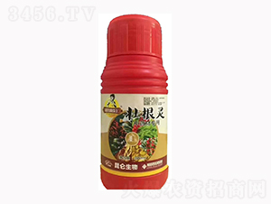 ��ˎ�ĉѸ��`-�����_(d��)