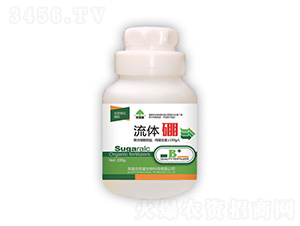 ���w��-�|���S