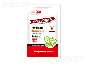 �ۺϡ��-�|���S