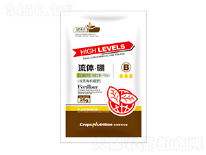 ���w����-�|���S