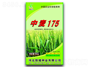 ����175-С���N��-�ػͷN�I(y��)