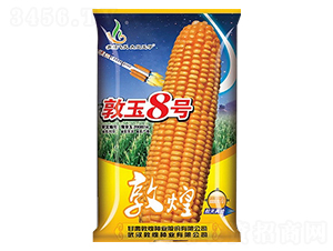 ����8̖-���׷N��-�ػͷN�I(y��)