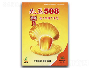 ����508-���׷N��-�ػͷN�I(y��)