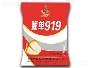 ԥ��919-���׷N��-�ػͷN�I(y��)