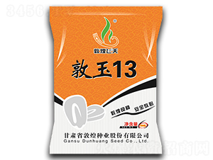 ����13-���׷N��-�ػͷN�I(y��)