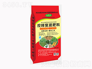 ��ጏ�(f��)�����17-17-17-�S��(r��n)����