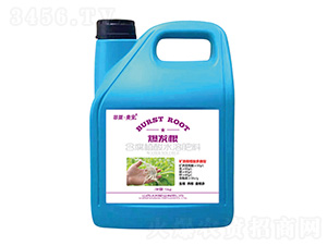 ���l(f��)������ֲ��ˮ�ܷ���-���R������-�ְ�ʘI(y��)