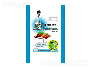 ���������-�|���S