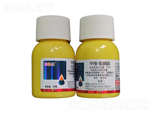 �׾S��ʭ����Ҹ���-���ס-�r(n��ng)���Ƅ�(chu��ng)