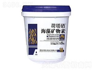 ����V����-����ʿ