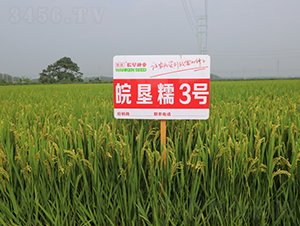 �Ŵ3̖-ˮ���N��-��N�I(y��)