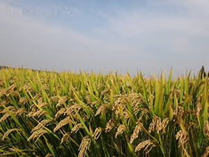 ������18̖-ˮ���N��-��N�I(y��)